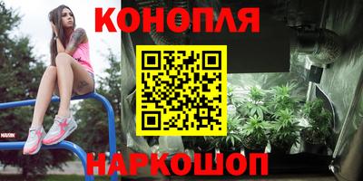 стафф Пыть-Ях