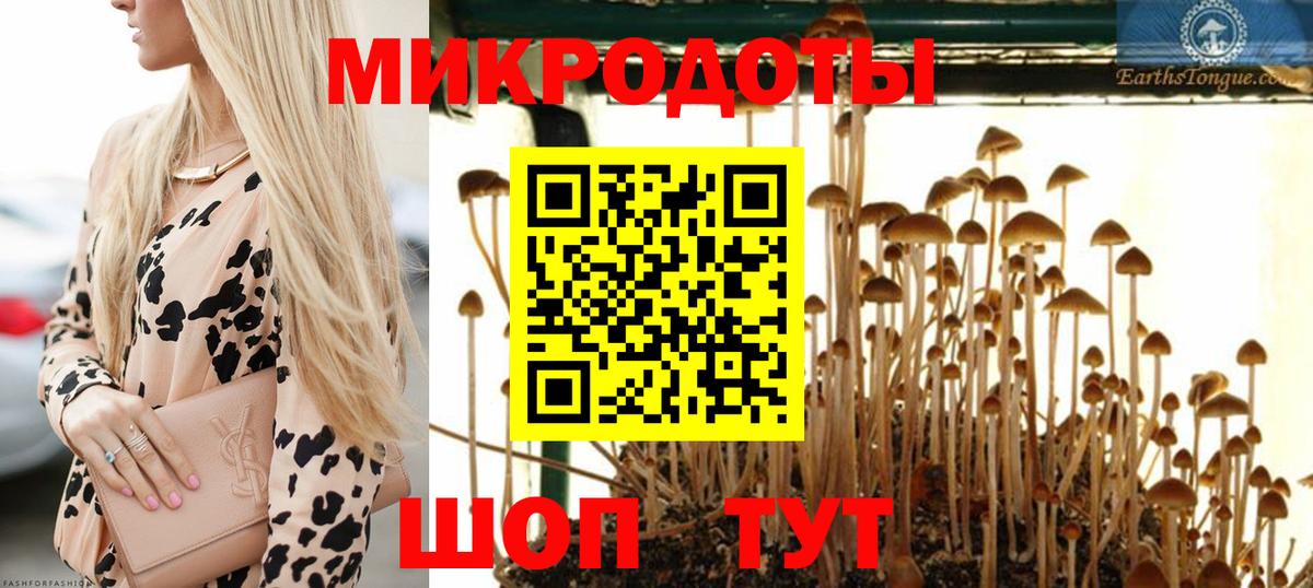 Галлюциногенные грибы мицелий  Вход с VPN  дарнет шоп  Анжеро-Судженск 