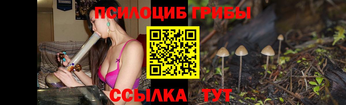 Псилоцибиновые грибы Psilocybine cubensis Анжеро-Судженск